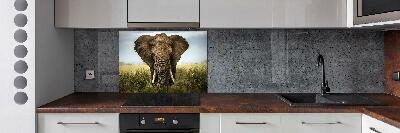 Splashback panel for kitchen Elephant in the savanna