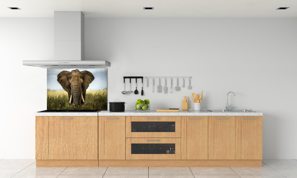 Splashback panel for kitchen Elephant in the savanna