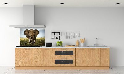 Splashback panel for kitchen Elephant in the savanna