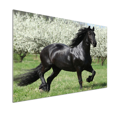 Glass splashback Black horse flowers