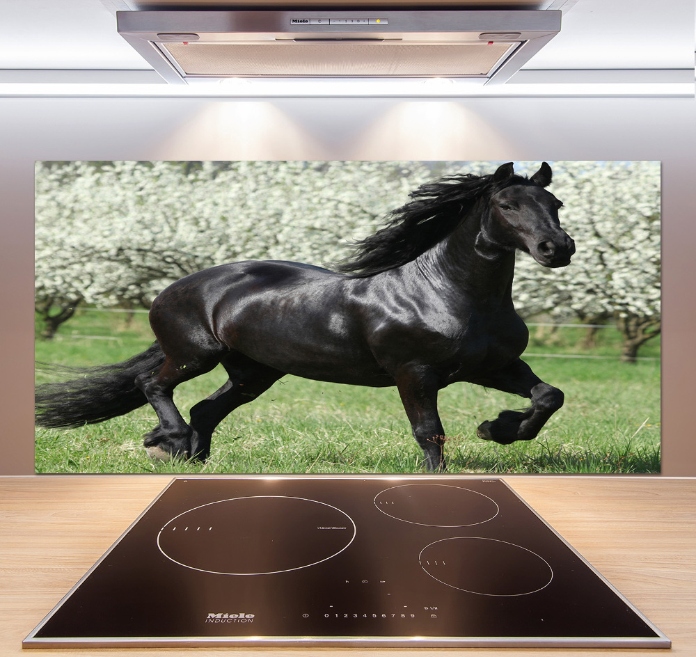 Glass splashback Black horse flowers