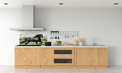 Glass splashback Black horse flowers