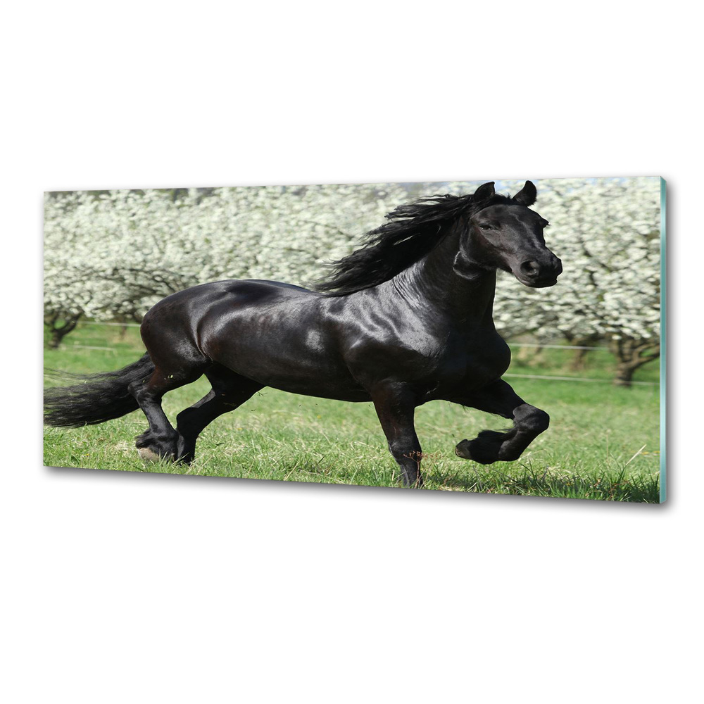 Glass splashback Black horse flowers