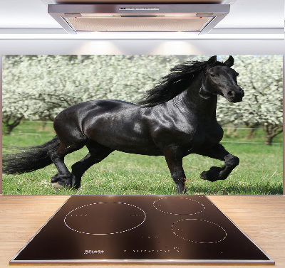 Glass splashback Black horse flowers