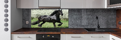 Glass splashback Black horse flowers