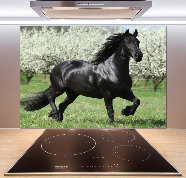 Glass splashback Black horse flowers