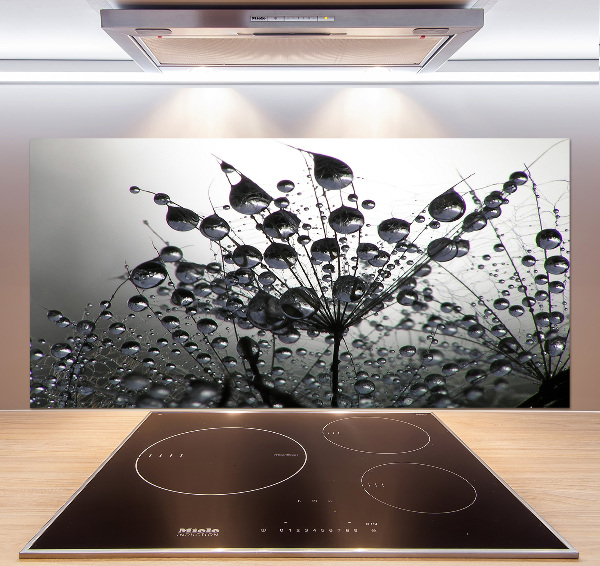 Cooker splashback Dandelion seeds