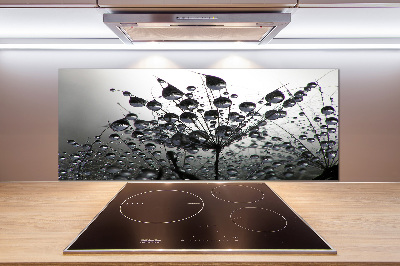 Cooker splashback Dandelion seeds