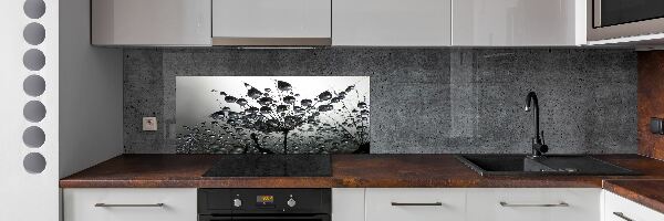 Cooker splashback Dandelion seeds