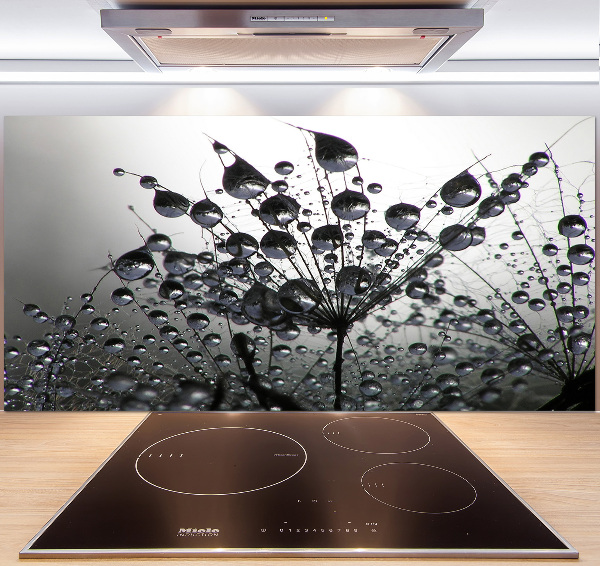 Cooker splashback Dandelion seeds