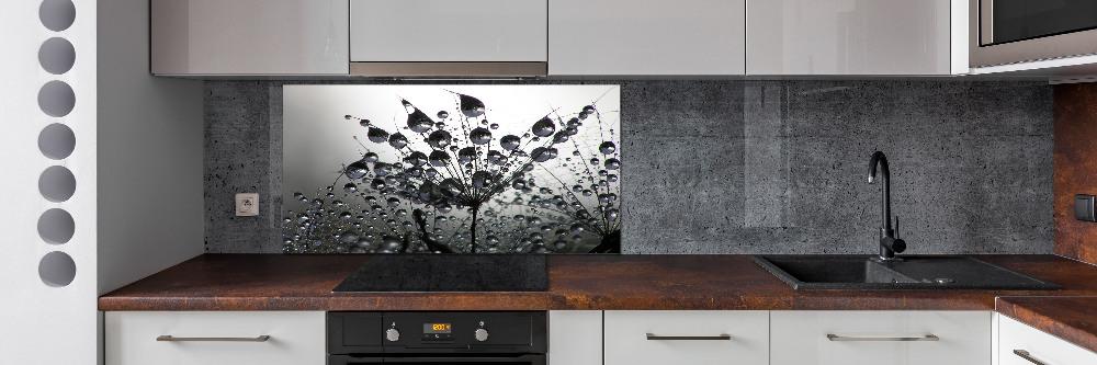 Cooker splashback Dandelion seeds