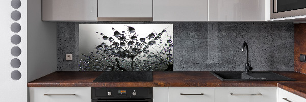 Cooker splashback Dandelion seeds