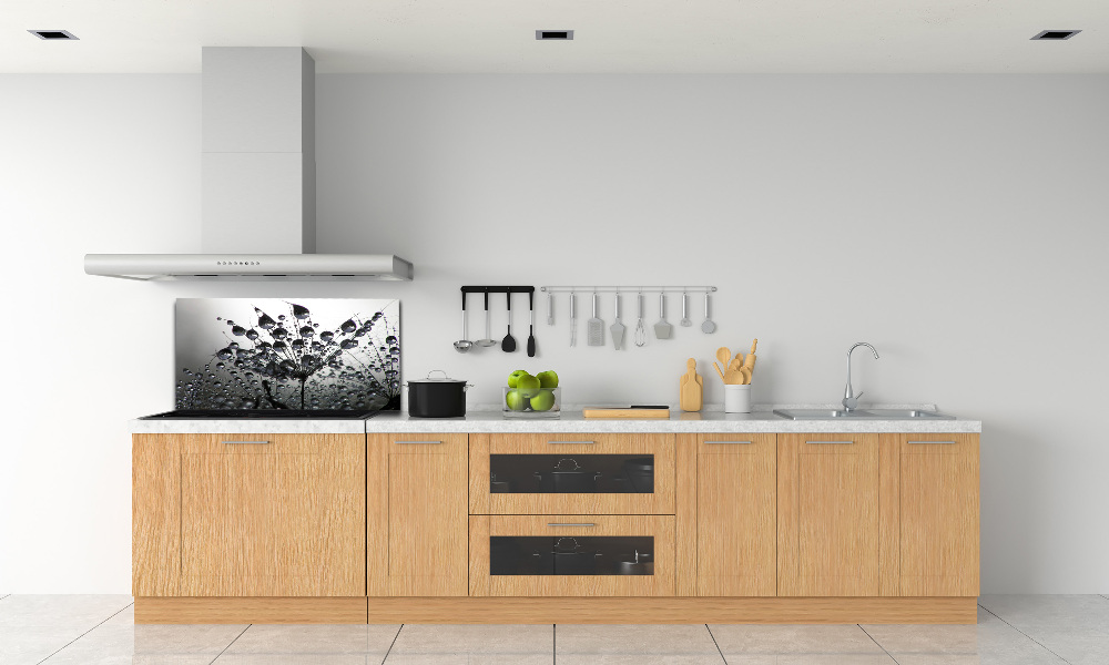 Cooker splashback Dandelion seeds