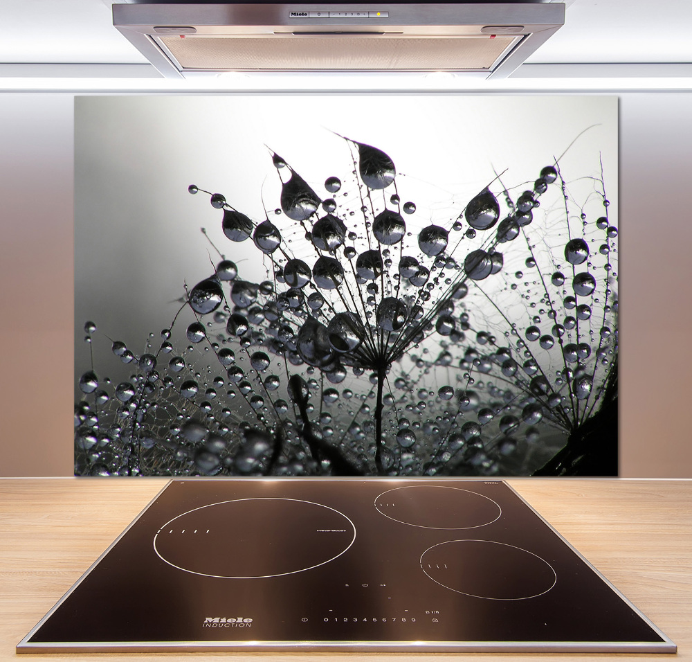 Cooker splashback Dandelion seeds