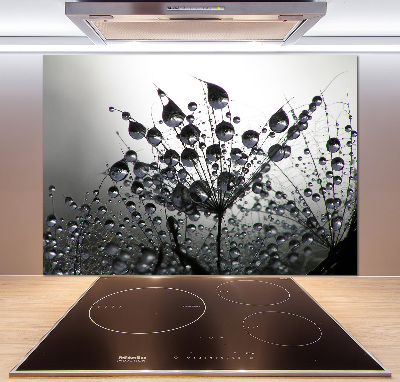 Cooker splashback Dandelion seeds