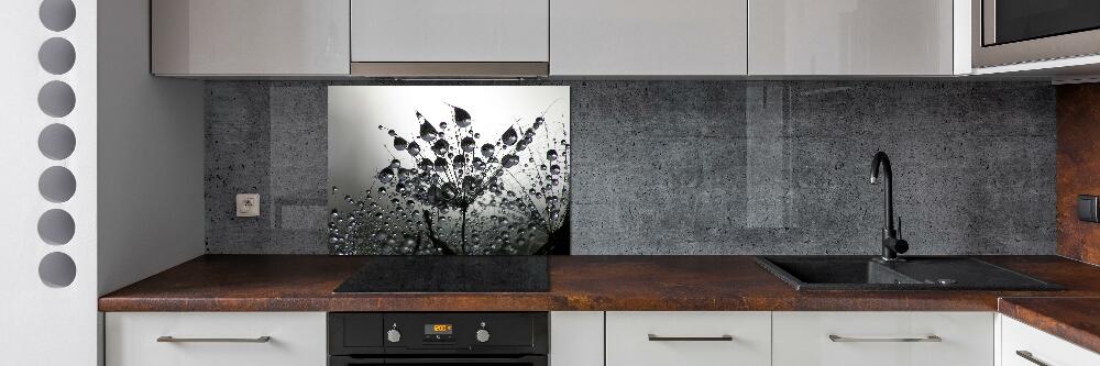 Cooker splashback Dandelion seeds