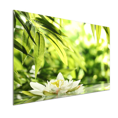 Cooker splashback water lily