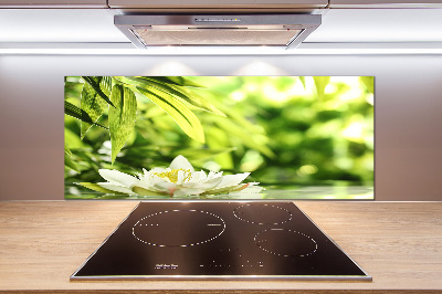 Cooker splashback water lily