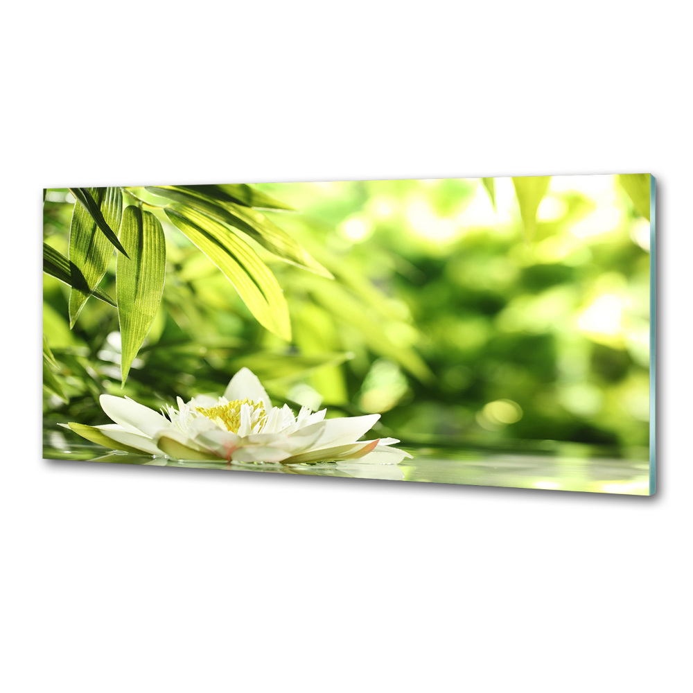 Cooker splashback water lily