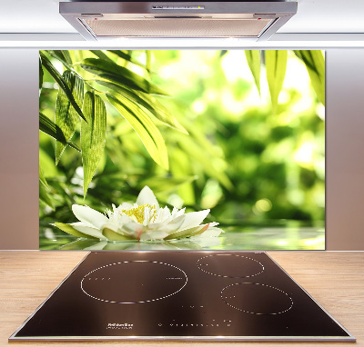 Cooker splashback water lily