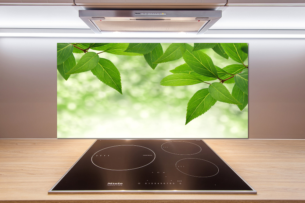 Cooker splashback Green leaves