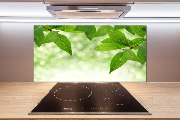 Cooker splashback Green leaves