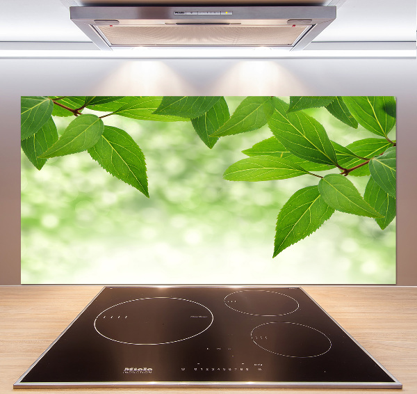 Cooker splashback Green leaves