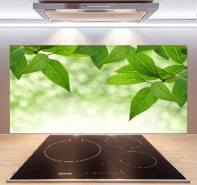 Cooker splashback Green leaves