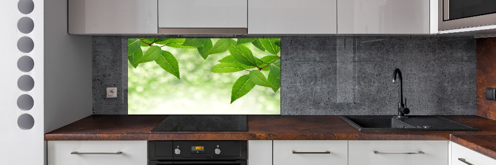 Cooker splashback Green leaves