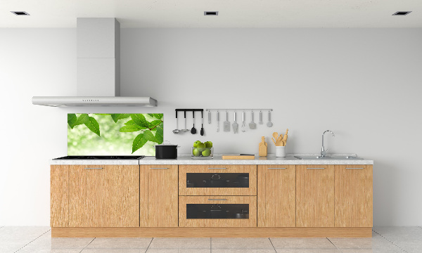 Cooker splashback Green leaves