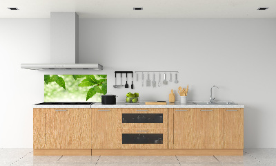 Cooker splashback Green leaves