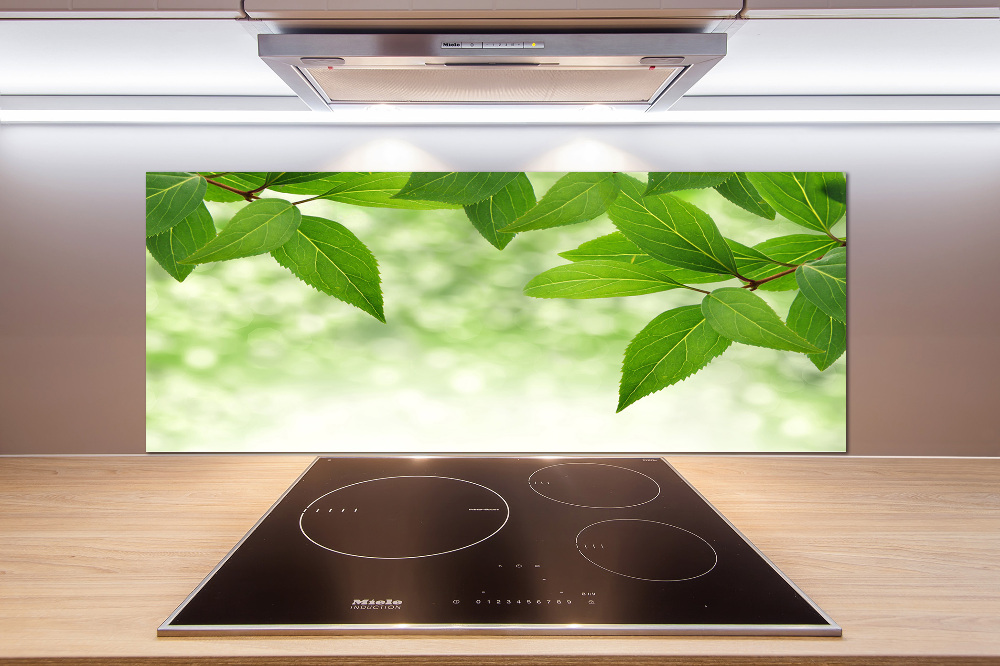 Cooker splashback Green leaves