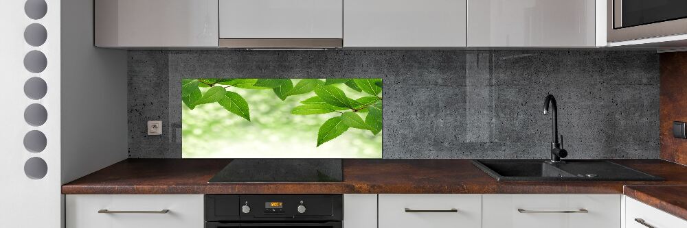 Cooker splashback Green leaves