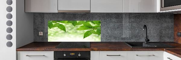 Cooker splashback Green leaves