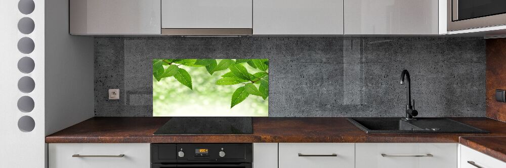 Cooker splashback Green leaves