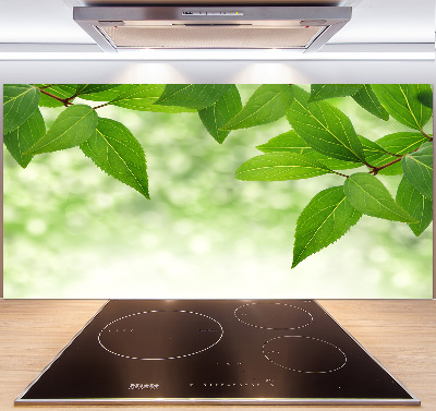 Cooker splashback Green leaves