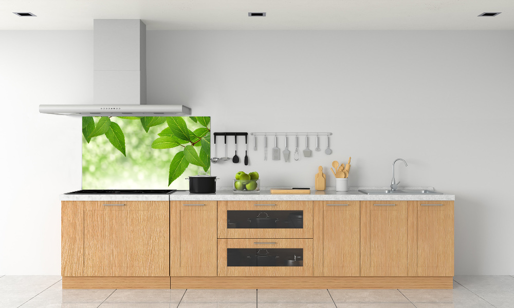 Cooker splashback Green leaves