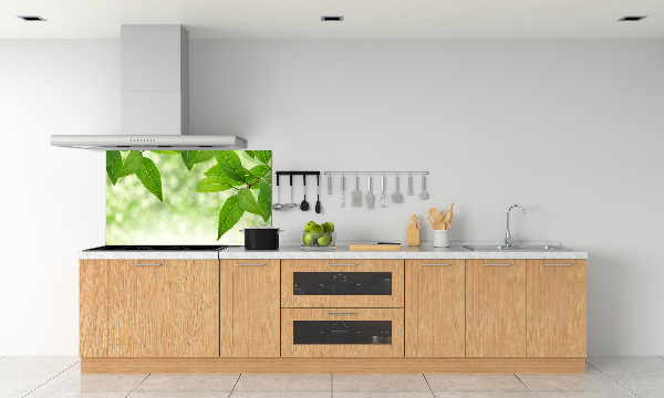 Cooker splashback Green leaves