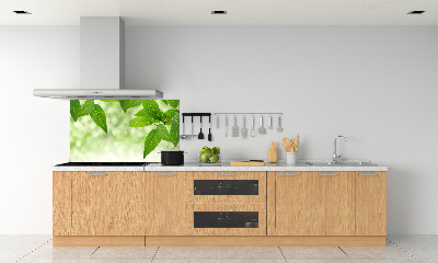 Cooker splashback Green leaves