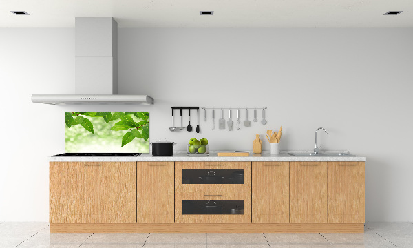 Cooker splashback Green leaves