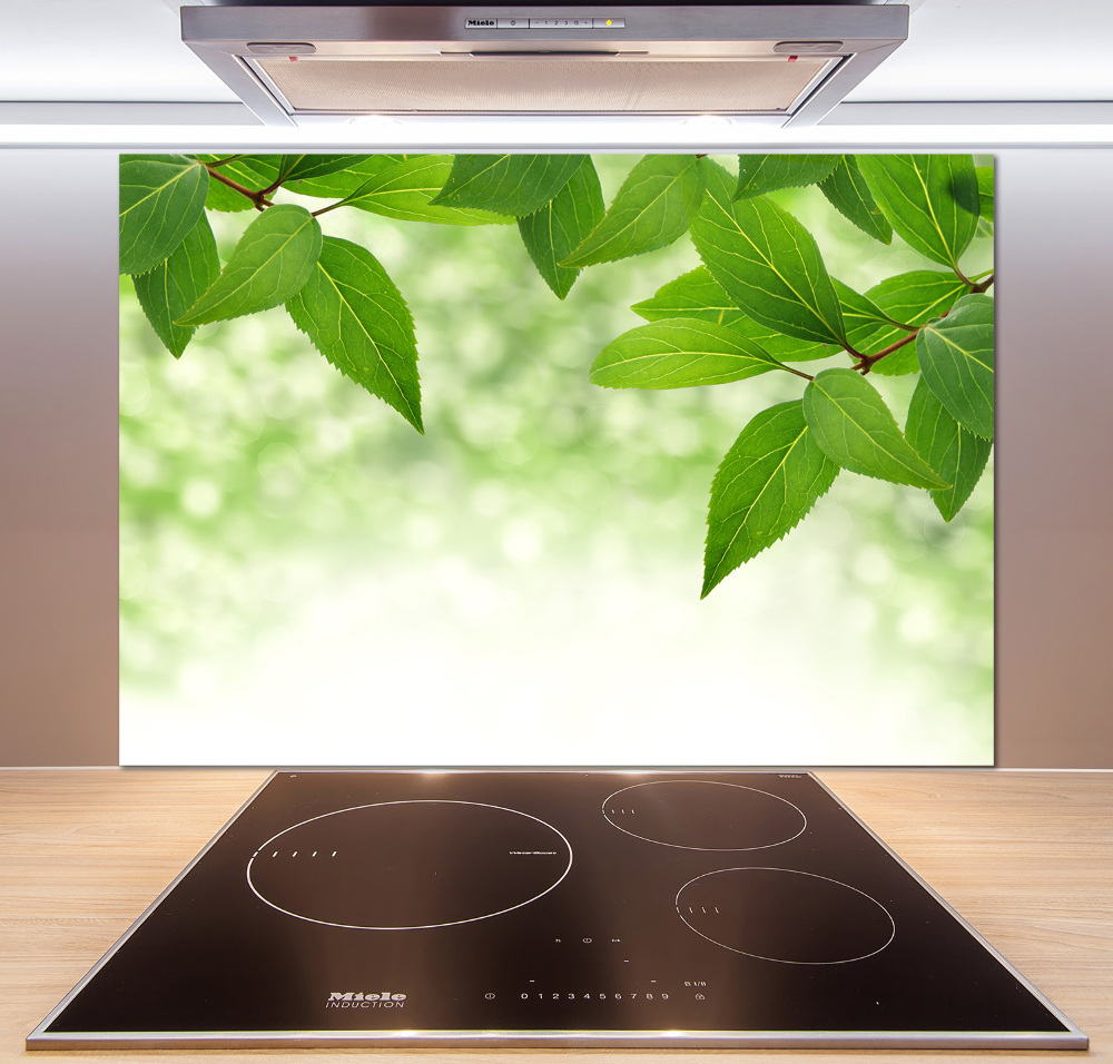 Cooker splashback Green leaves