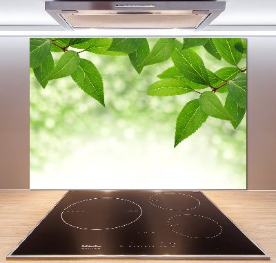 Cooker splashback Green leaves