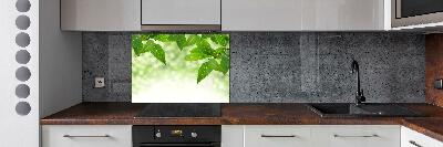 Cooker splashback Green leaves