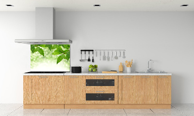 Cooker splashback Green leaves