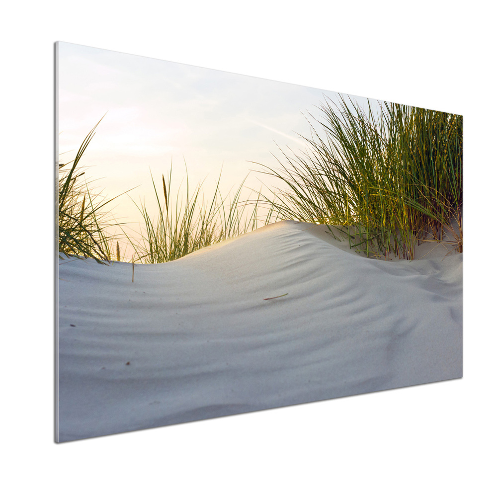 Cooker splashback Coastal dunes