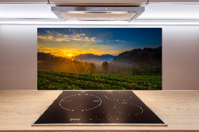 Cooker splashback Tea plantation