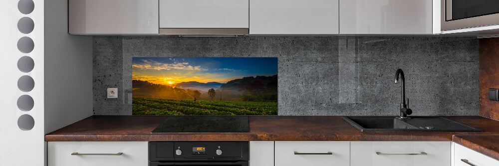 Cooker splashback Tea plantation