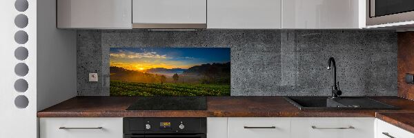 Cooker splashback Tea plantation