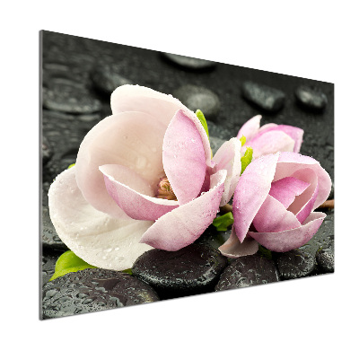 Cooker splashback Magnolia stone zen