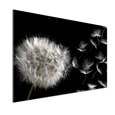 Cooker splashback Dandelion